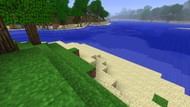 Beach biome (Image via Minecraft)